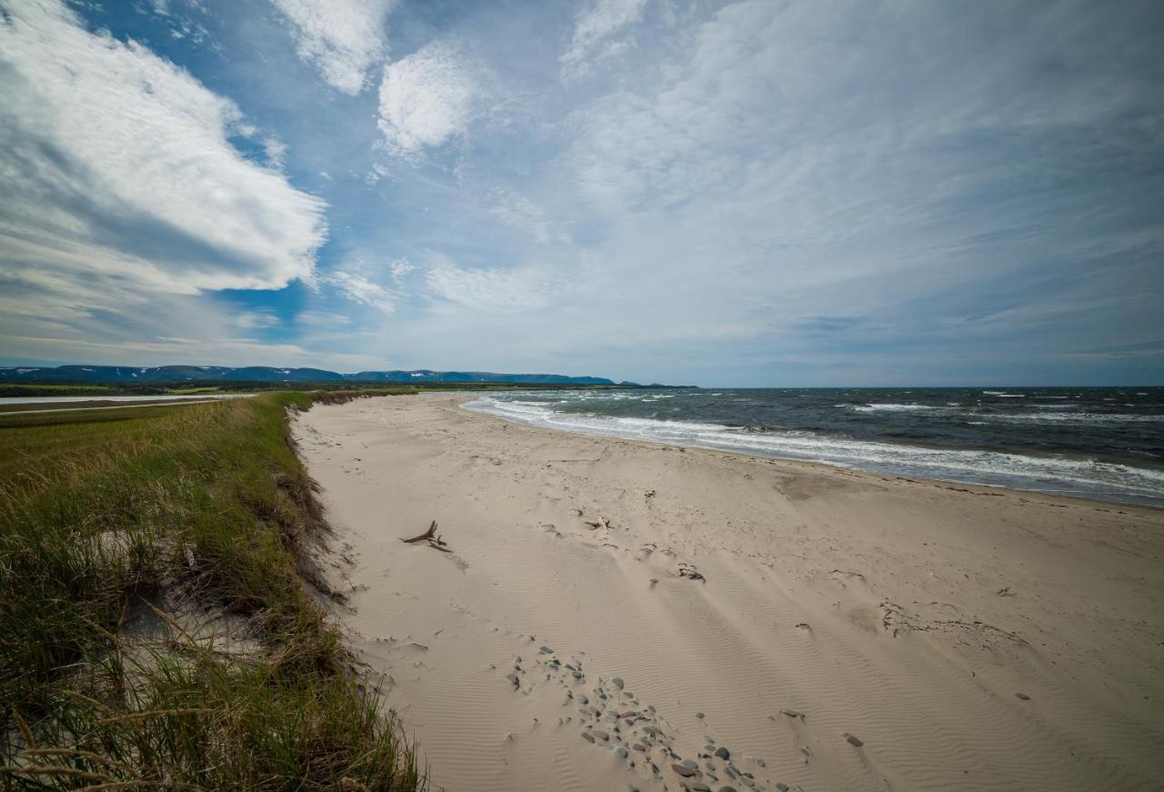 Codroy Valley Cottage Country Saint Andrews エクステリア 写真